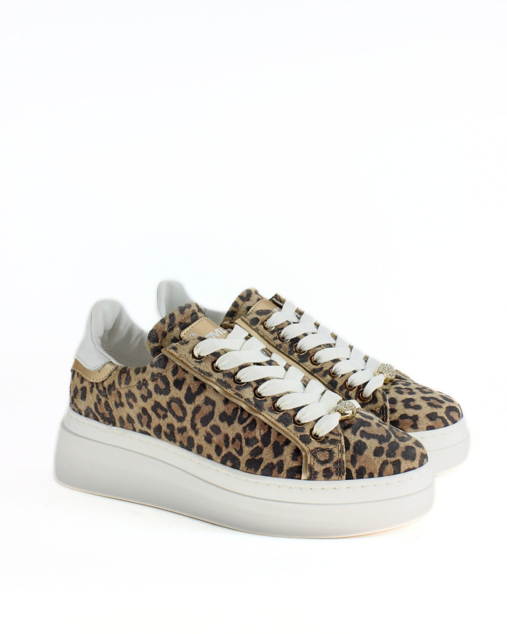 Lory Animalier