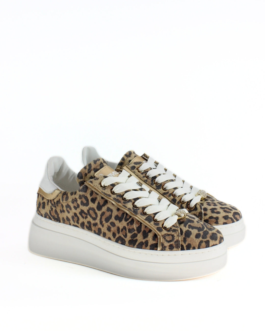 Lory Animalier
